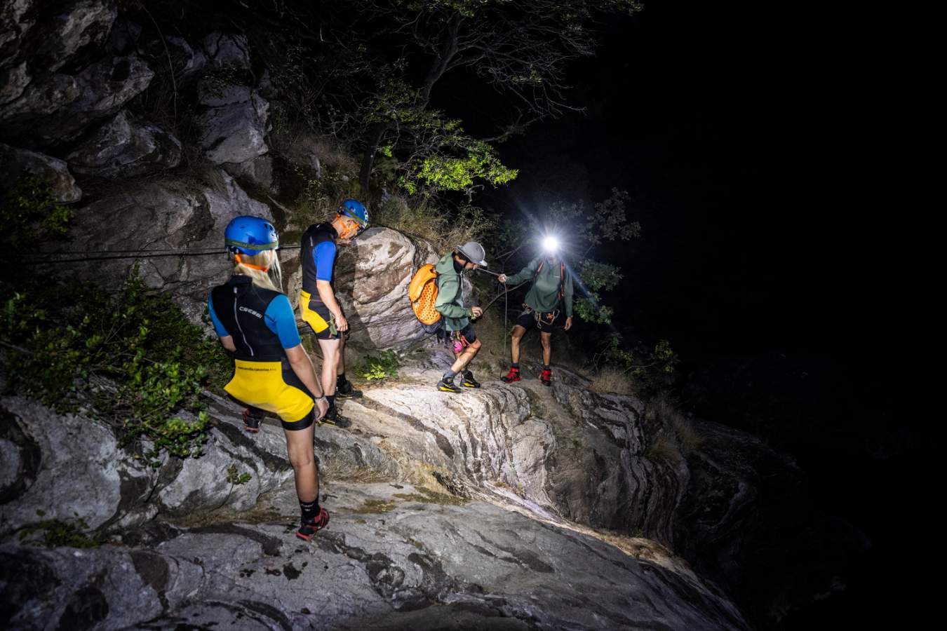 Night Safari Adventure